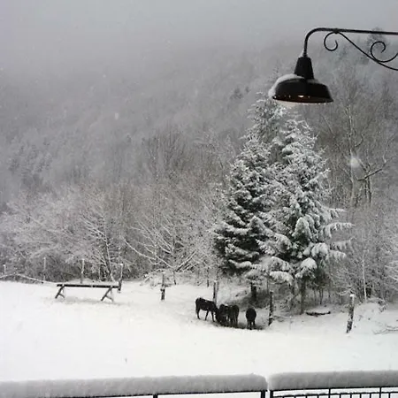Campo Di Bonis Chalet Chalé
